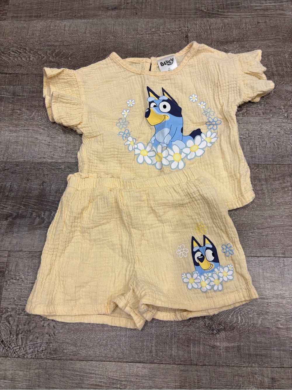 Bluey Yellow Girls' Matching Set - Bluey Floral Tee & Shorts